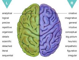 13 Fungsi Otak Kanan Manusia - Pengertian, Dampak Kerusakan dan Cara Mengembangkan Otak Kanan
