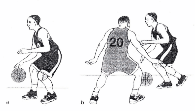 Teknik Dribbling Bola Basket Dan Cara Melakukannya Penjaskes Co Id