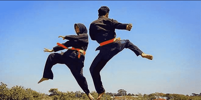 Prinsip Prinsip Dan Fungsi Pencak Silat Penjaskes Co Id